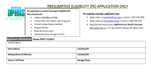 Image of the first section of the Presumptive Eligibility Form. The form is available in a separate section of the webpage you are currently on.