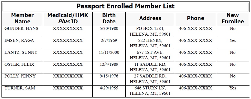 Image of Passport Client List