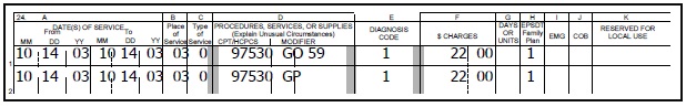 Image of two line items from a claim for multiple services on the same date.