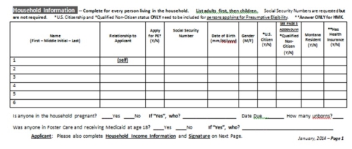 Screenshot of the Household Information section of the PE Application form.